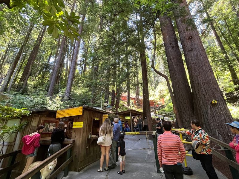 The Mystery Spot