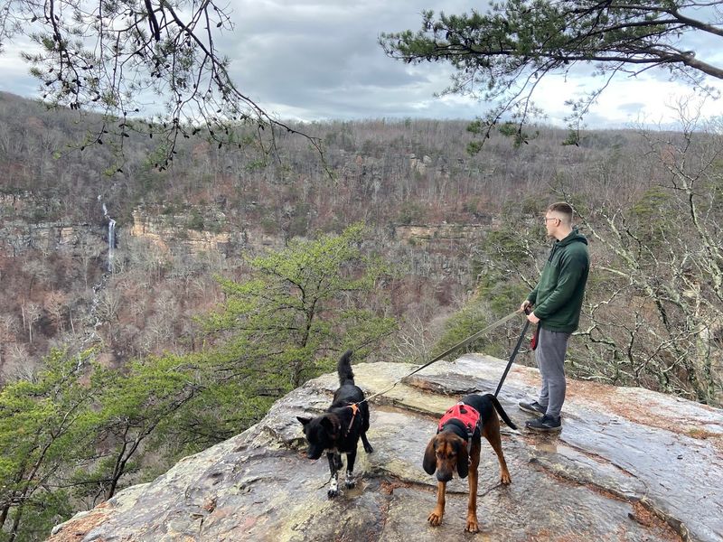 The Overlook Moment: Waterfall Views, Rock Ledges, And Wide-Open Scenery The Overlook Moment: Waterfall Views, Rock Ledges, And Wide-Open Scenery