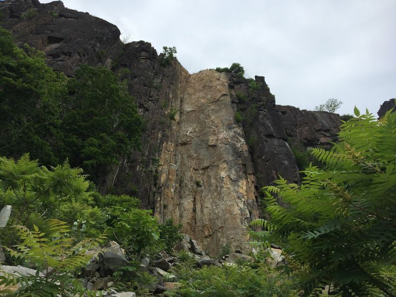 The Palisades Cliffs Make This Bergen County Escape Feel Wild And Unexpected