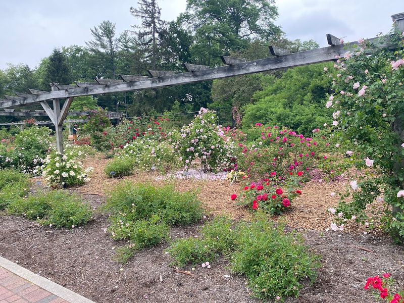 The Perennial and Sensory Gardens Give Every Season Its Own Moment The Perennial and Sensory Gardens Give Every Season Its Own Moment