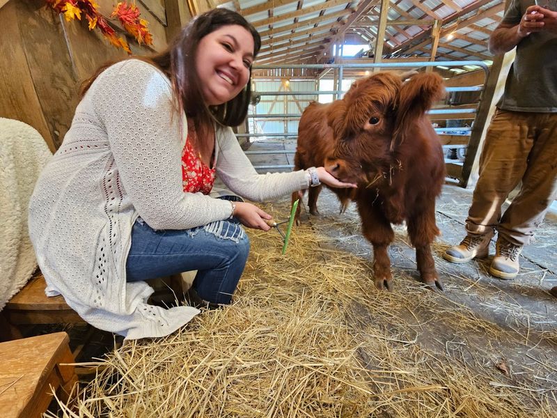 The Perfect Tennessee Stop for Families, Couples, and Animal Lovers