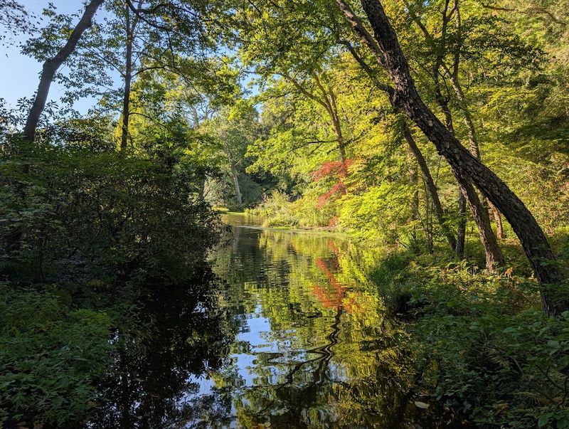 The Ponds and Streams That Make the Garden Feel So Peaceful
