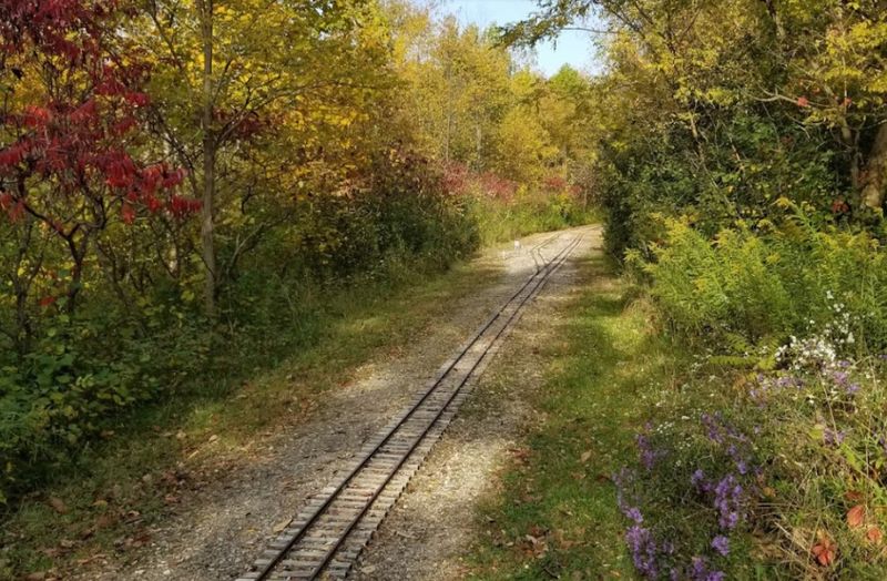 The Quiet Scenery That Slows You Down The Quiet Scenery That Slows You Down
