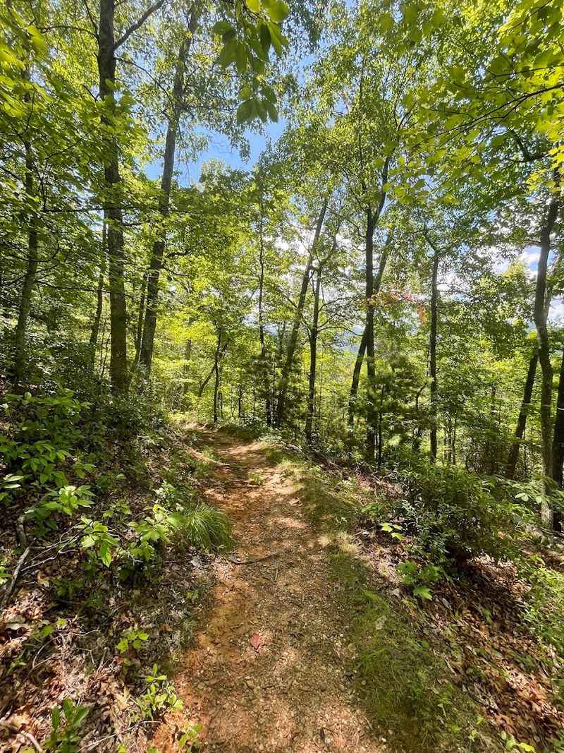 The Quiet Townsend Trail That Feels Like a Secret Smoky Mountain Escape The Quiet Townsend Trail That Feels Like a Secret Smoky Mountain Escape
