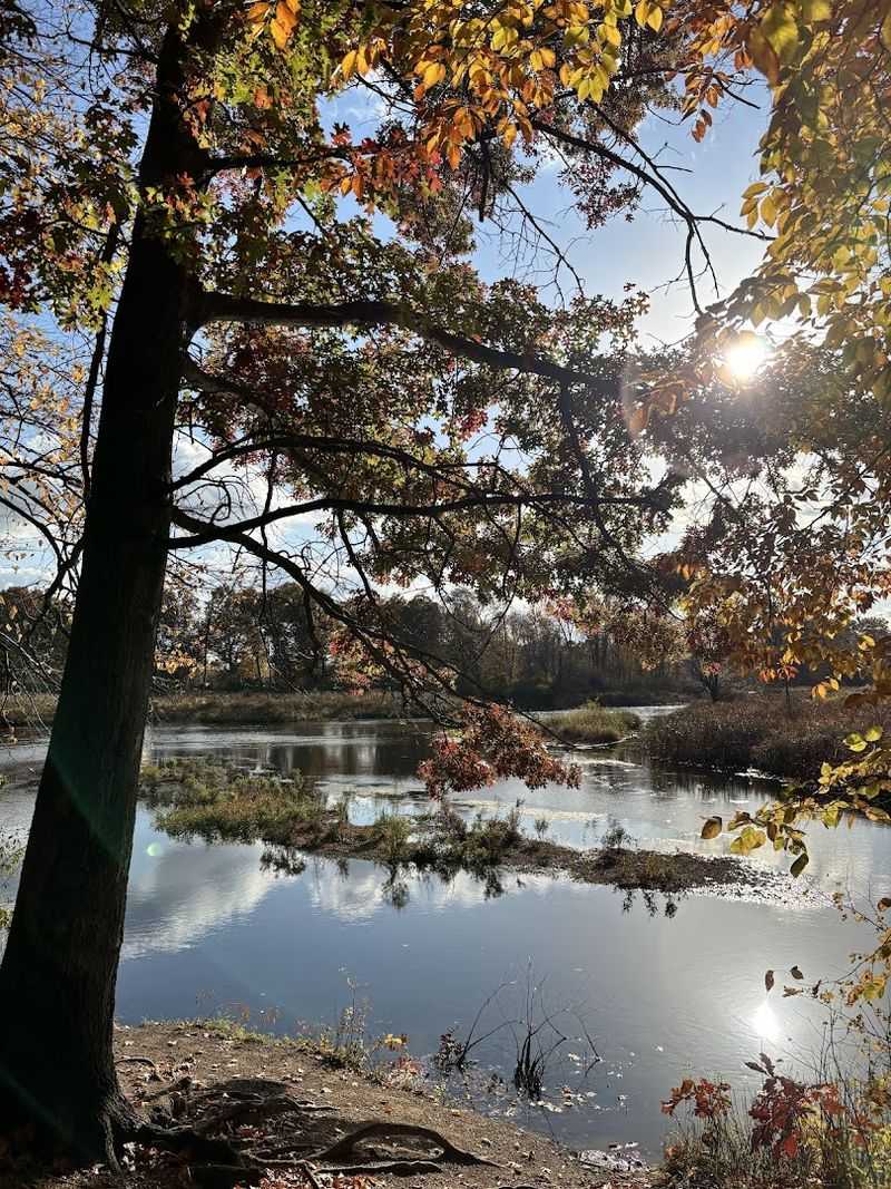 The Real Reason This Small Preserve Keeps Drawing People Back