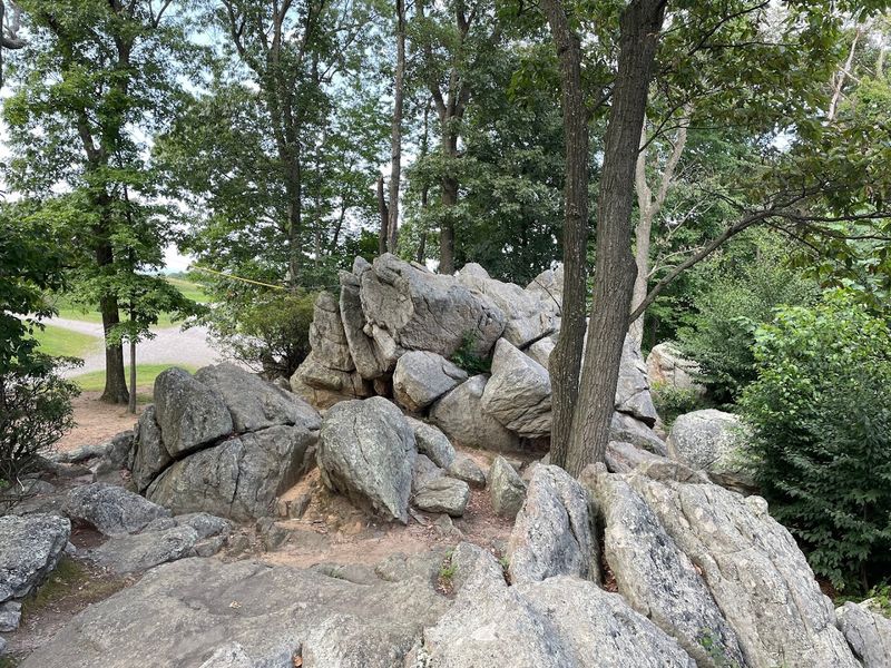 The Rock Field Brings Out Your Adventurous Side