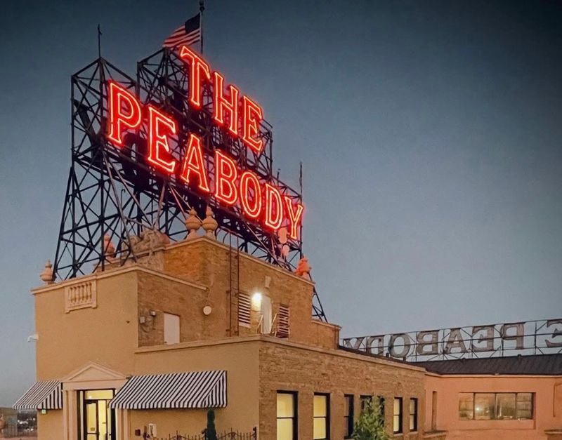 The Rooftop Palace Where Ducks Sleep Like Royalty