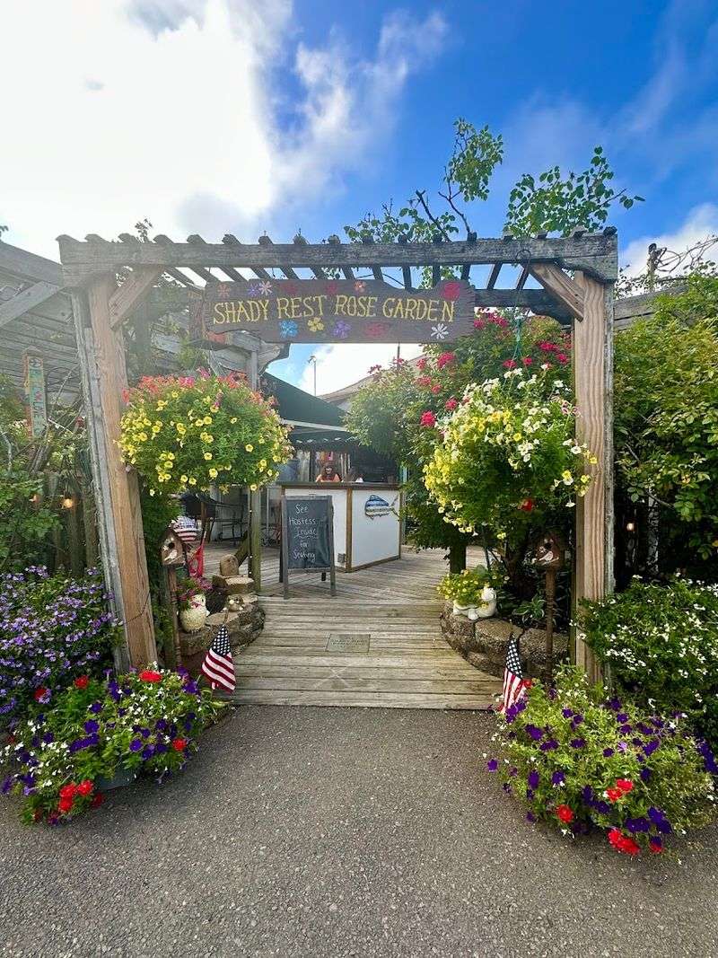 The Secret Rose Garden Hiding Behind a Bayville Favorite