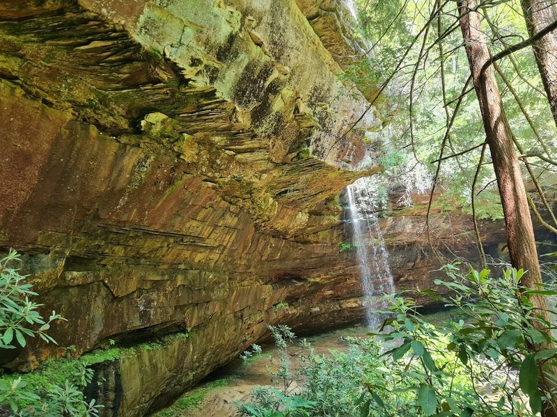 The Short Forest Trail That Leads to the Big Reveal