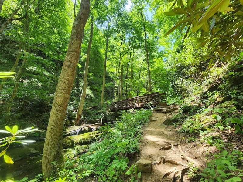 The Short Tennessee Trail That Feels Like A Hidden Mountain Escape