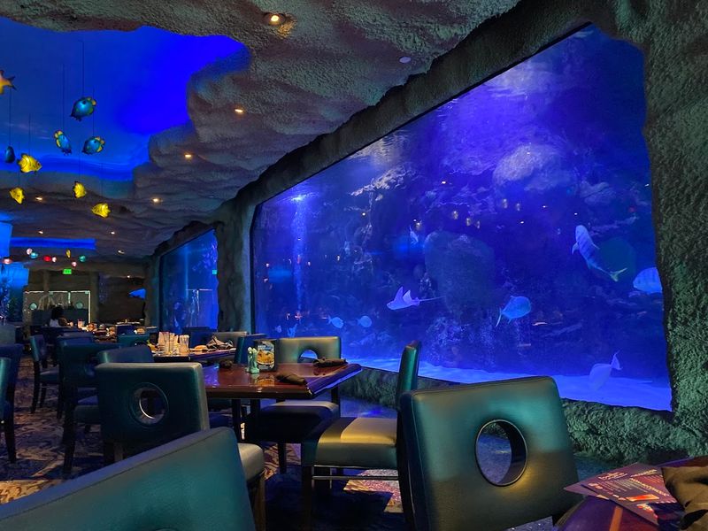 The Signature 150,000 Gallon Aquarium Experience The Signature 150,000 Gallon Aquarium Experience