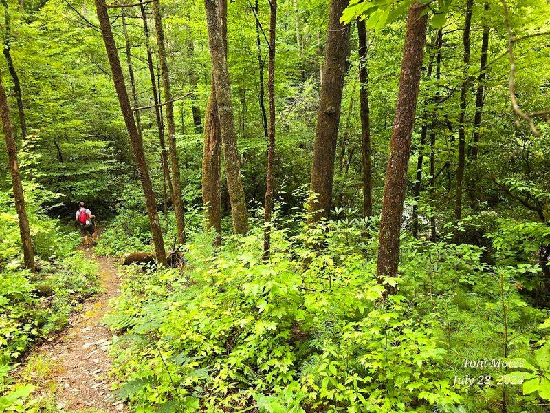 The Surrounding Cherokee National Forest Adds To The Magic