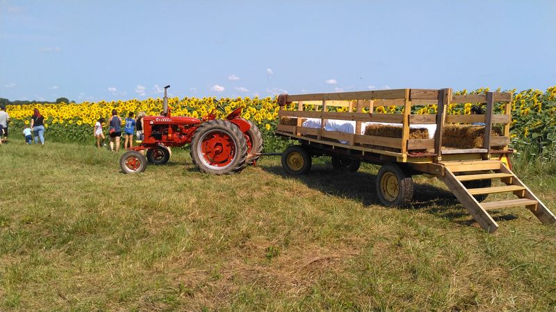 The Tractor And Wagon Rides Add To The Experience The Tractor And Wagon Rides Add To The Experience