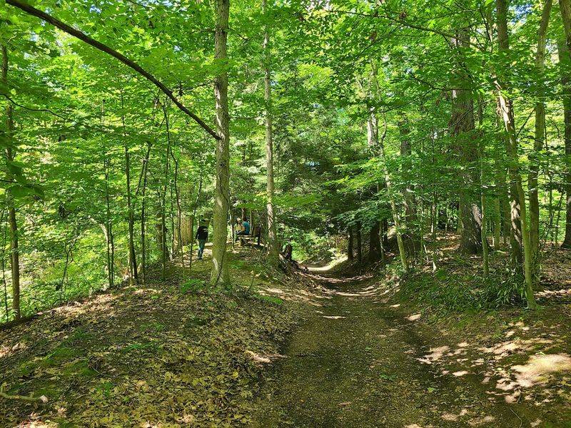 The Trails That Actually Make You Slow Down