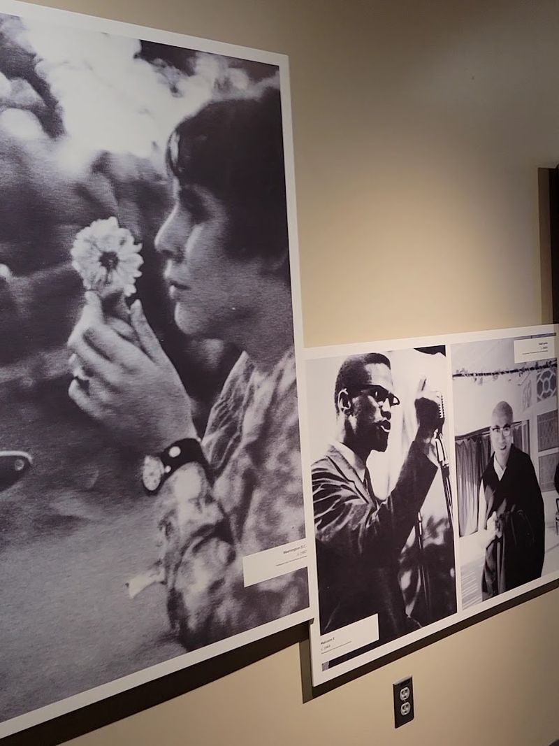 The Underground Railroad Exhibit That Demands Your Full Attention