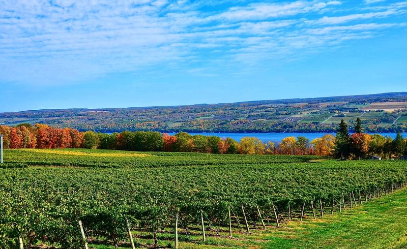 The View Over Skaneateles Lake Is the Real Showstopper