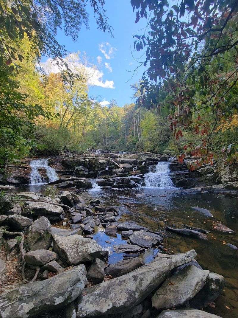 The Walk To Coker Creek Falls Feels Peaceful From The Start