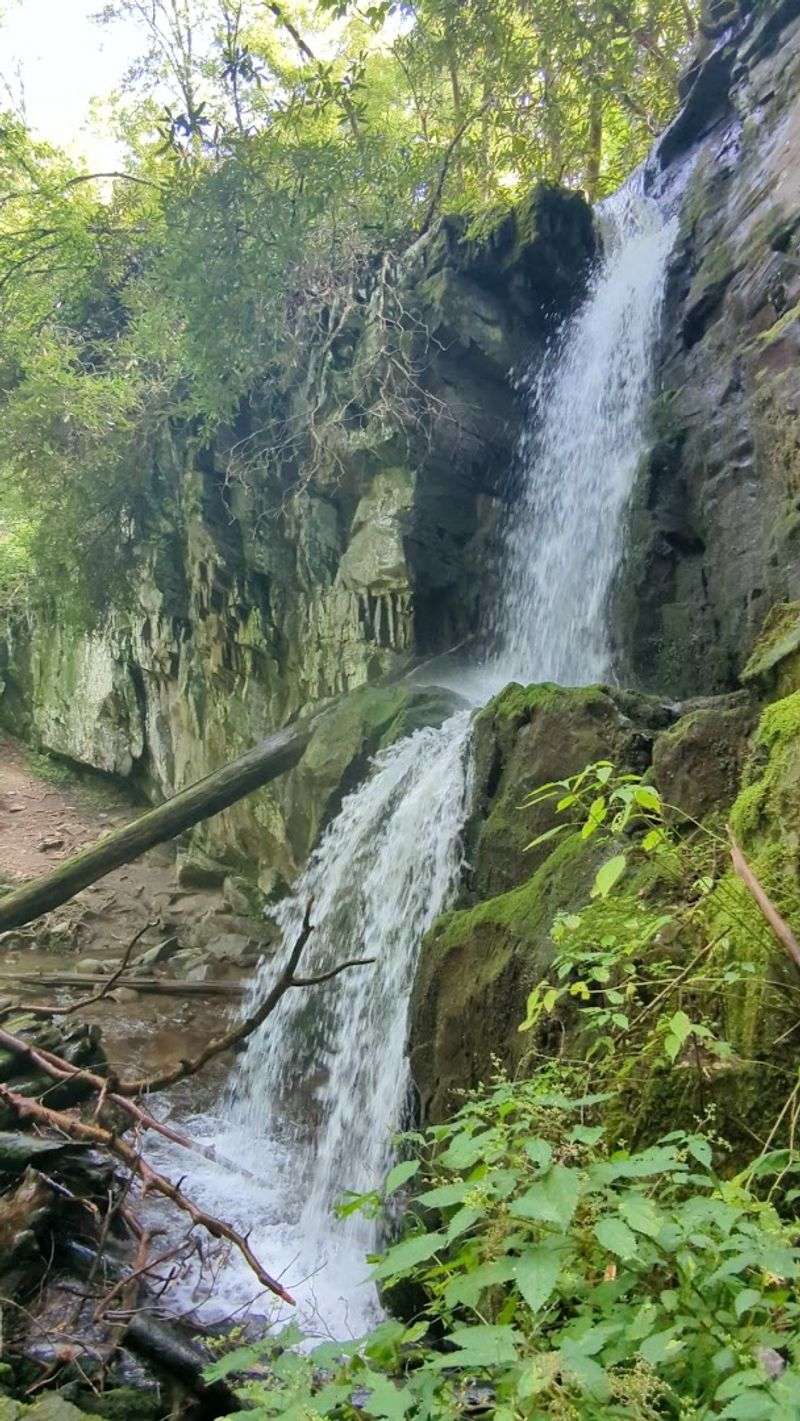 The Waterfall Reward Is A Two-Tier Cascade Tucked Deep In The Forest The Waterfall Reward Is A Two-Tier Cascade Tucked Deep In The Forest