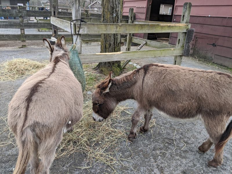 The animal encounters are closer and calmer than you expect The animal encounters are closer and calmer than you expect