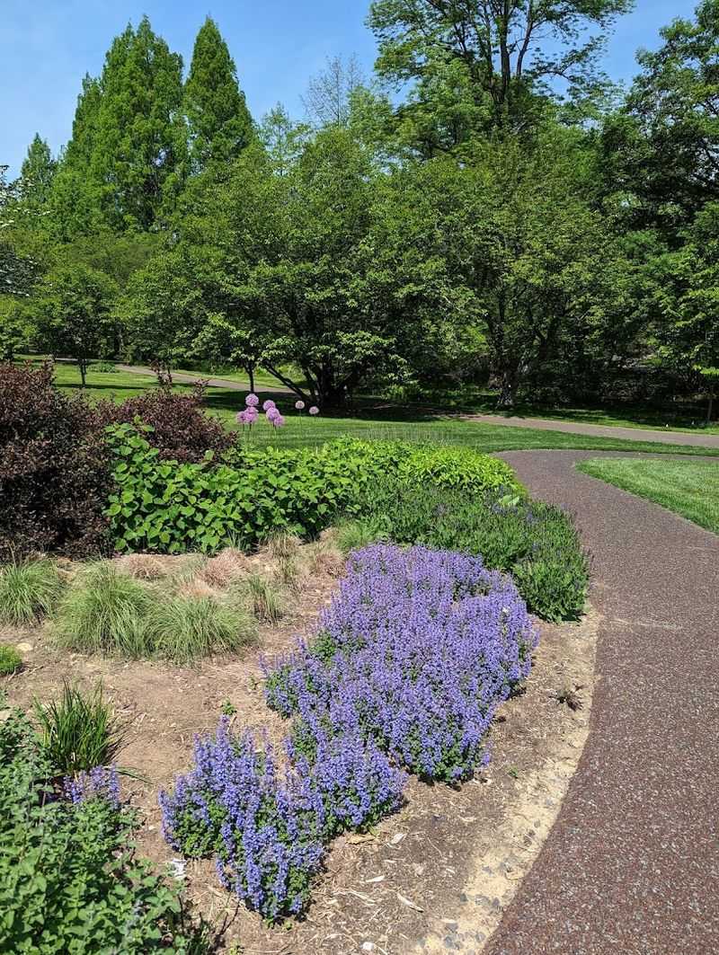 The easy paths, benches, and amenities make it wonderfully approachable The easy paths, benches, and amenities make it wonderfully approachable
