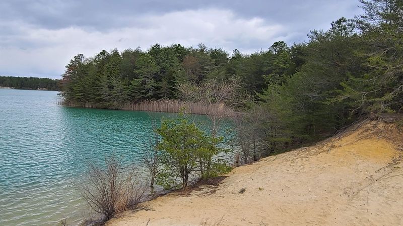 The eerie blue holes that make the forest feel almost unreal The eerie blue holes that make the forest feel almost unreal
