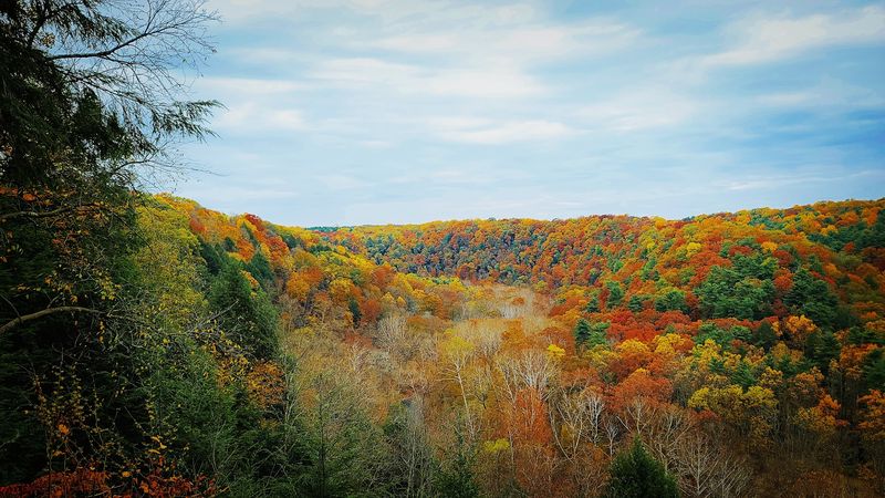 The gorge views that instantly set the tone The gorge views that instantly set the tone