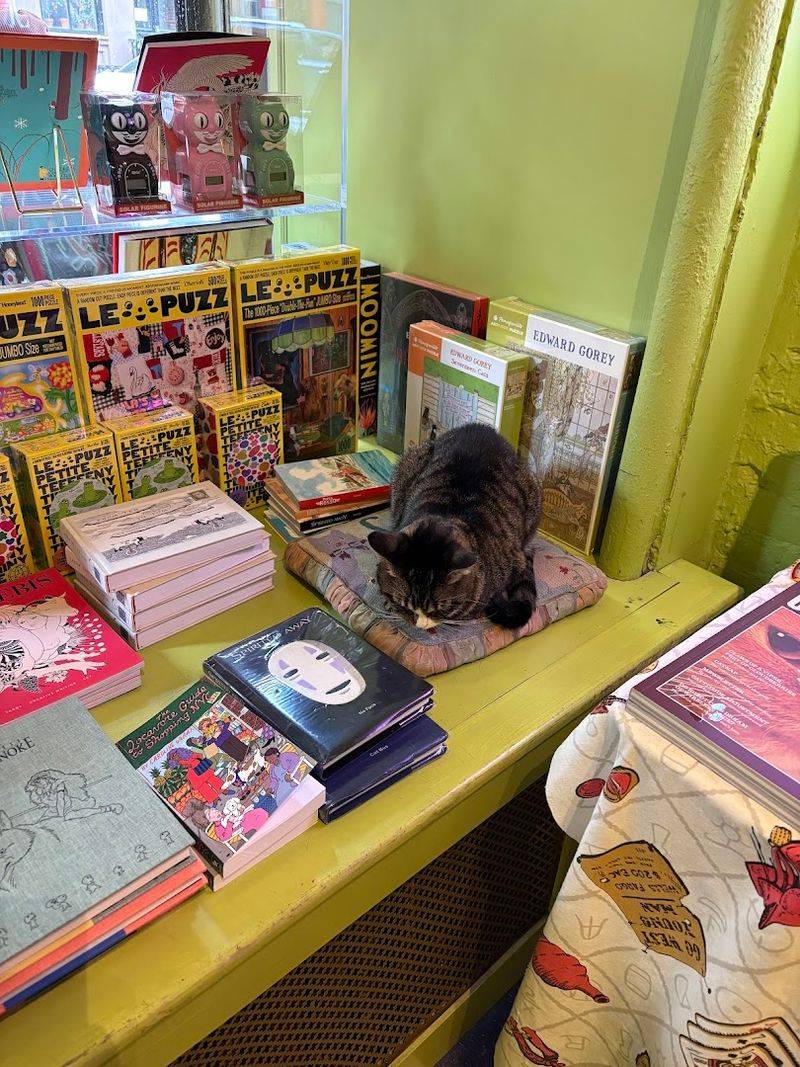 The lasting charm of Pillow-Cat Books