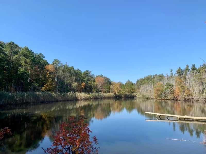 The local charm that makes Forked River feel like its own world