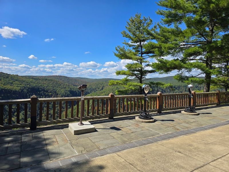 The observation decks offer some of the park's most spectacular canyon views