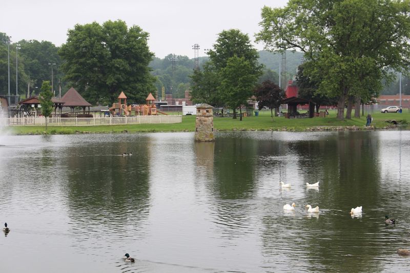 The pond, ducks, and slower moments