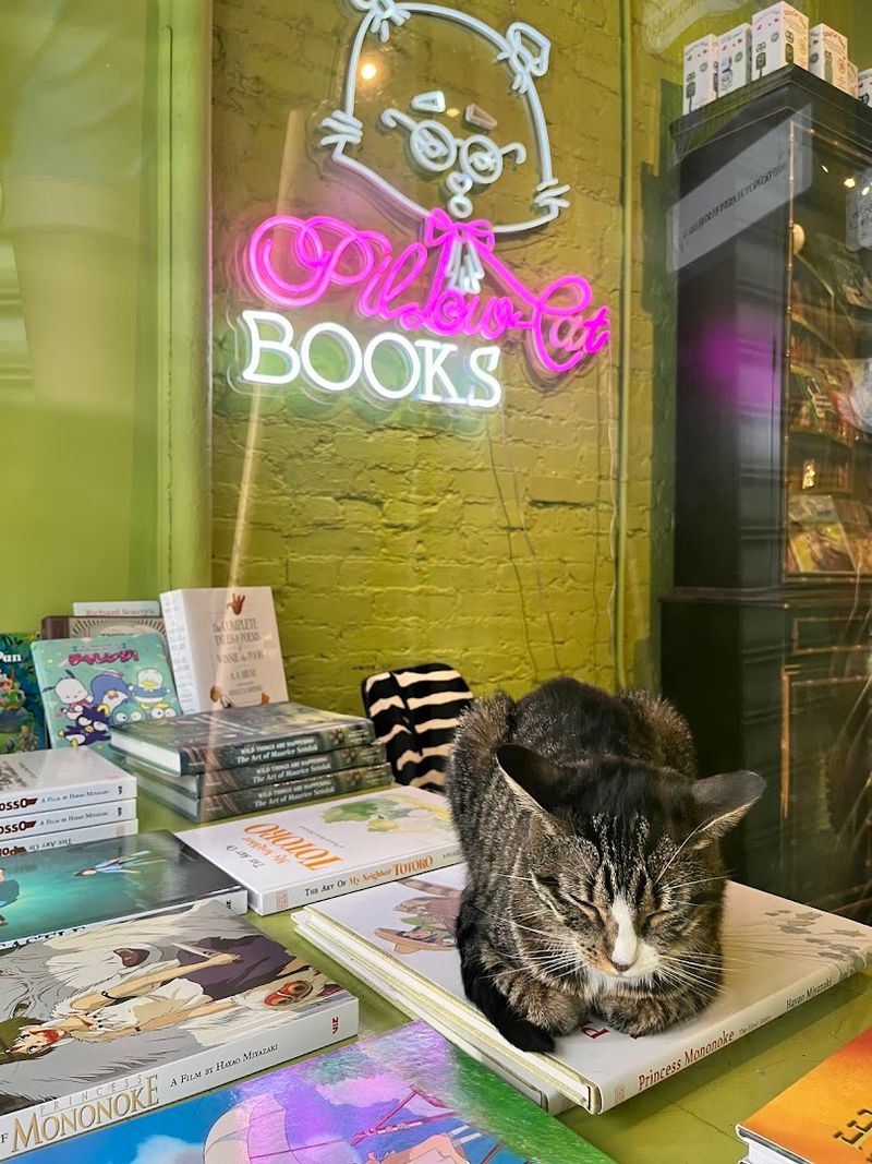 The resident cat who steals the spotlight