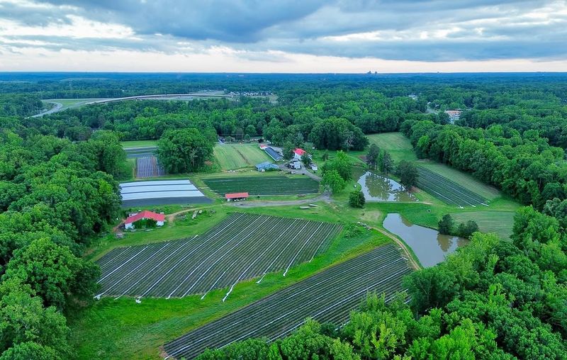 The setting celebrates local farming in a real way The setting celebrates local farming in a real way