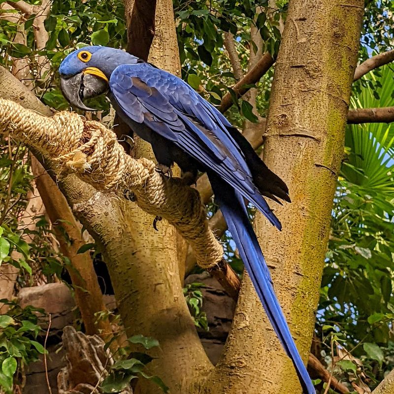 The thrill of hand-feeding colorful birds The thrill of hand-feeding colorful birds