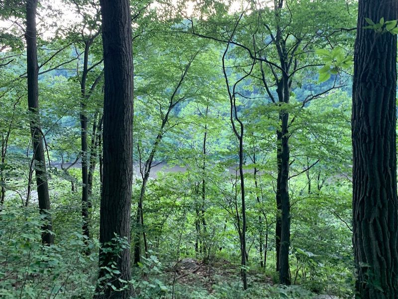 The trail is just as memorable as the mine