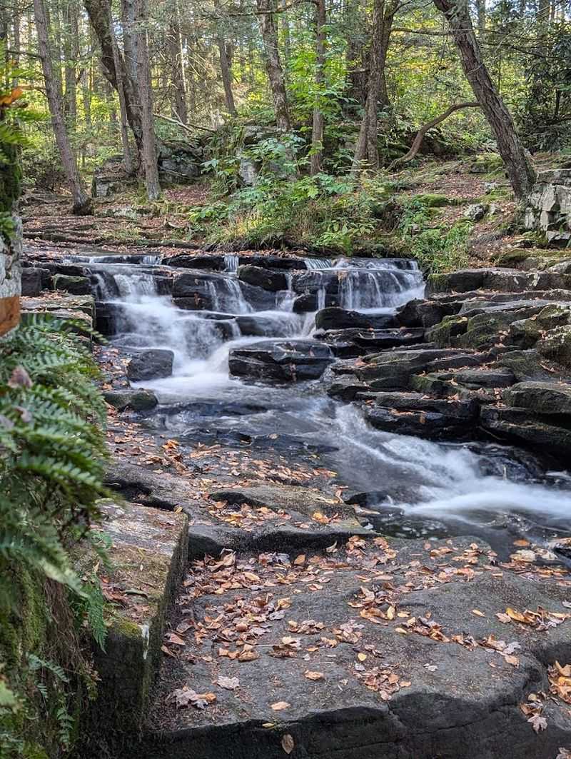The trails are varied, scenic, and genuinely rewarding The trails are varied, scenic, and genuinely rewarding