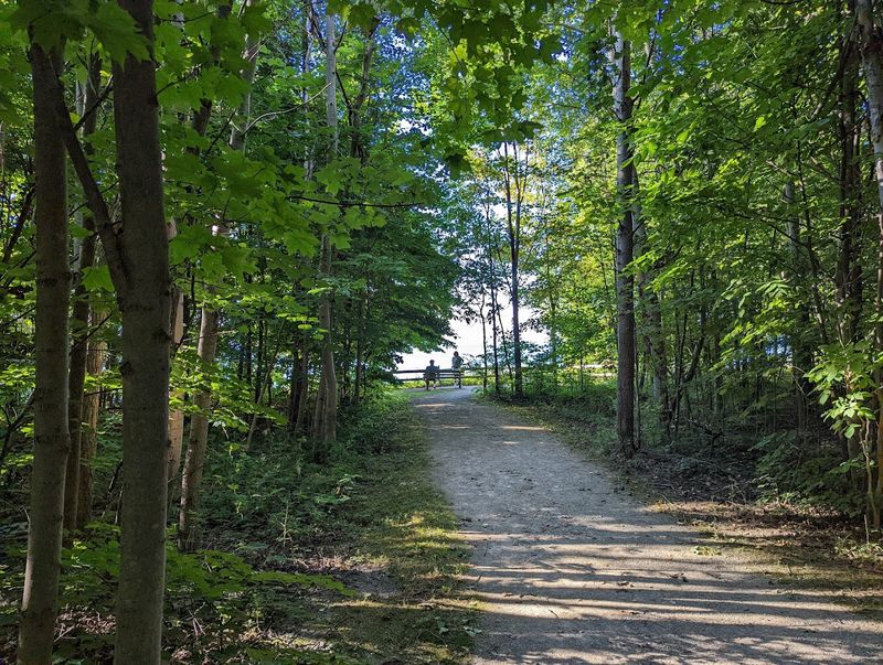 The trails make it easy to settle into a slower pace The trails make it easy to settle into a slower pace