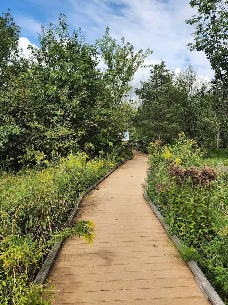 The trails, pond, and forest paths that make this more than a butterfly stop The trails, pond, and forest paths that make this more than a butterfly stop