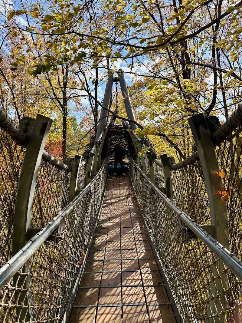 The treetop canopy walk feels like stepping into another world The treetop canopy walk feels like stepping into another world