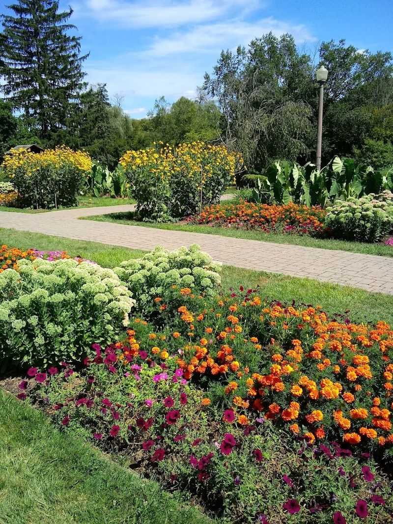 There Is Beauty Here Beyond Peak Bloom
