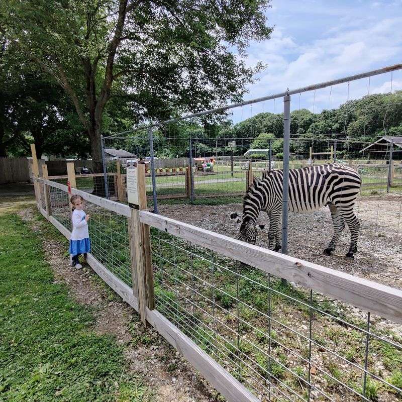 There is more to see than just the petting areas There is more to see than just the petting areas