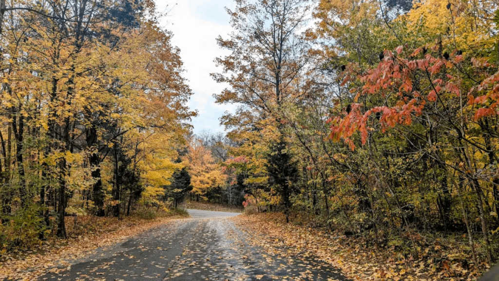 These 10 Hikes Are Less Than An Hour From Downtown Nashville, And Most Locals Don't Even Know They Exist