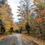 These 10 Hikes Are Less Than An Hour From Downtown Nashville, And Most Locals Don't Even Know They Exist