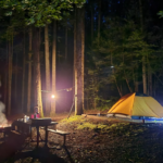 These 10 Tennessee Campgrounds Are Perfect for Stargazing Far From the City Lights