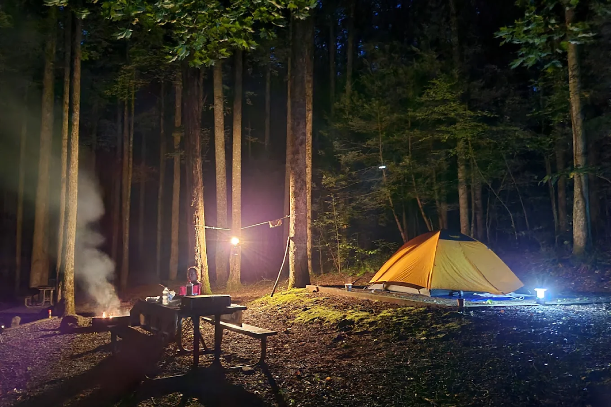 These 10 Tennessee Campgrounds Are Perfect for Stargazing Far From the City Lights