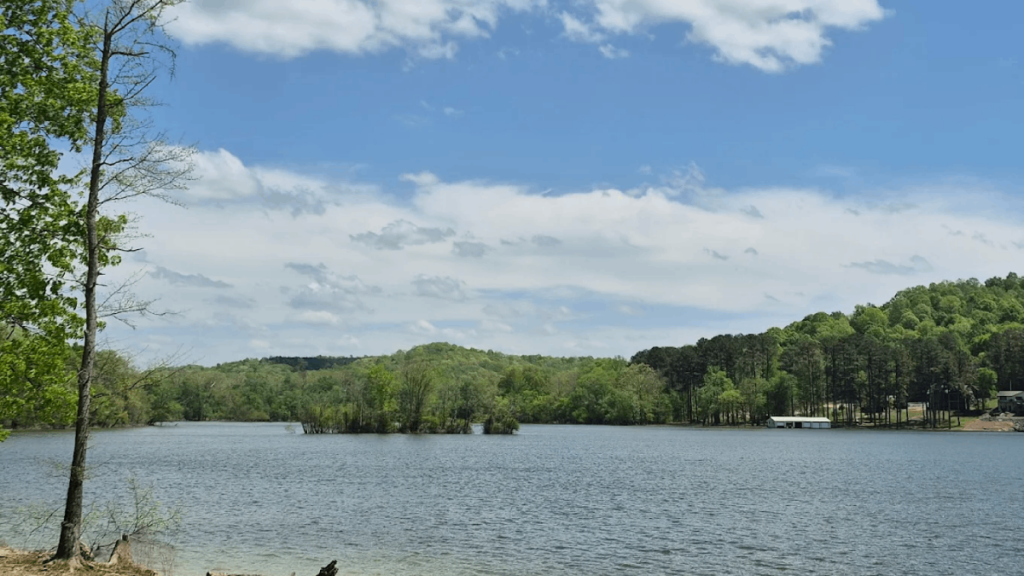 These 11 Tennessee Swimming Spots Are Where Locals Go To Beat The Summer Heat