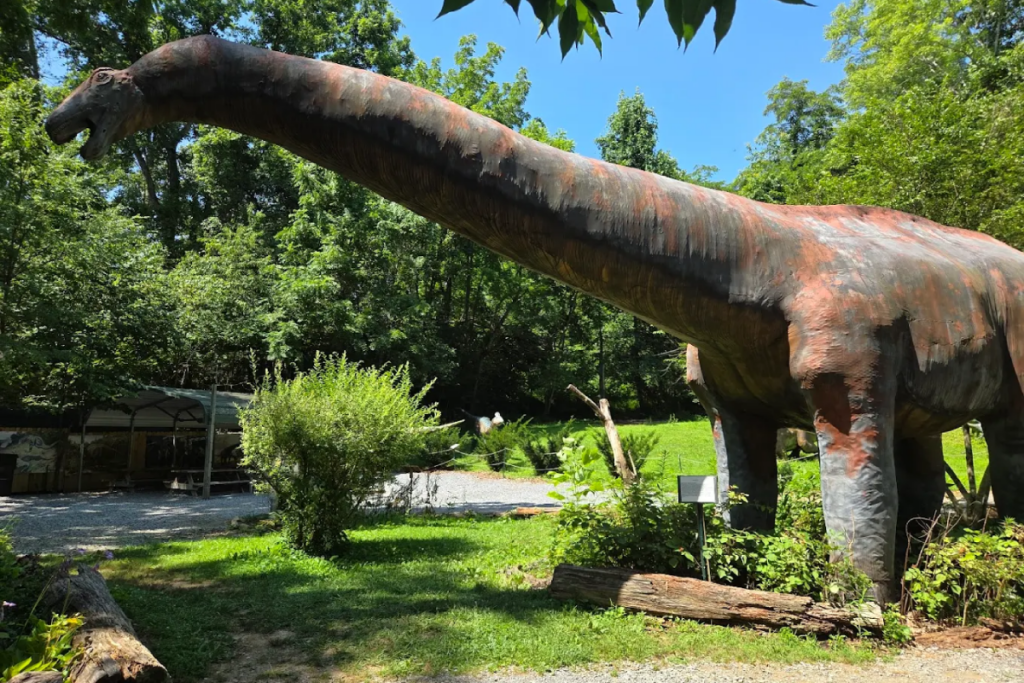 These 14 Strange Spots in Tennessee Are Almost Too Weird to Explain