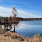 This Charming Tennessee Suburb Is Growing Fast, But Still Feels Like a Small Town