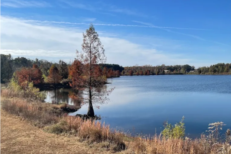 This Charming Tennessee Suburb Is Growing Fast, But Still Feels Like a Small Town