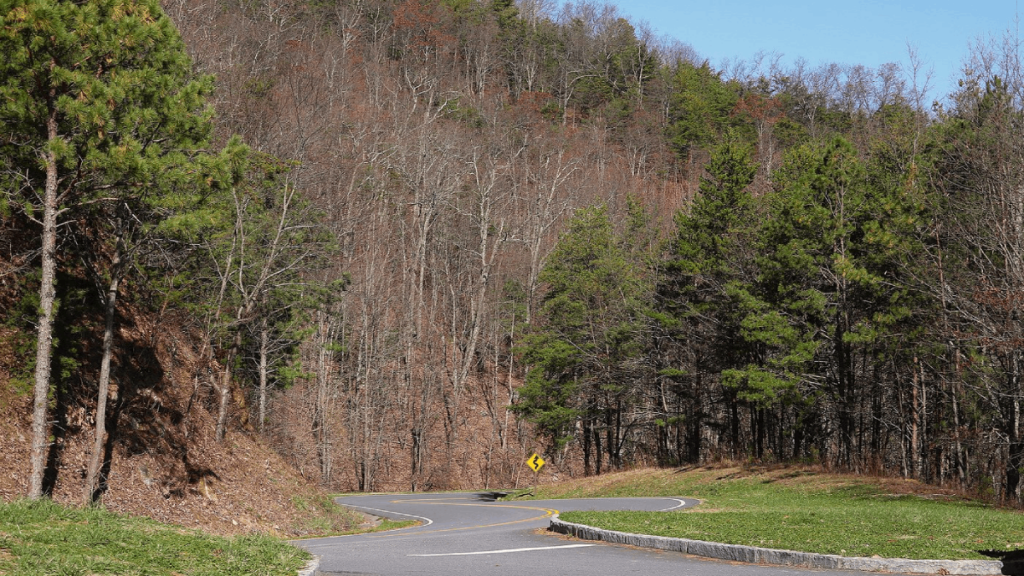 This Hidden Tennessee Highway Feels Like A Scenic Drive Through The European Alps