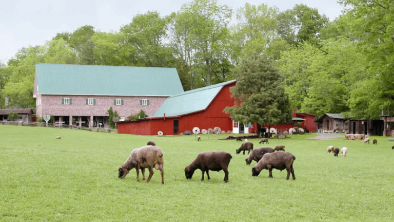 This Hidden Tennessee Museum Keeps Appalachian History Alive In The Most Heartwarming Way
